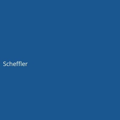 Hersteller: Scheffler